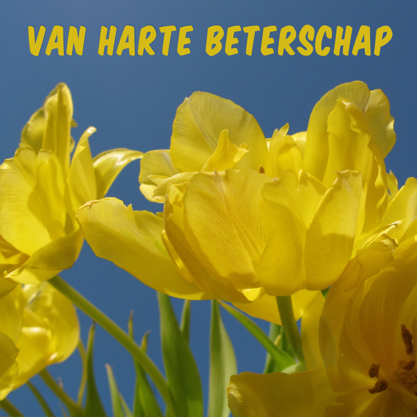 beterschap van harte -LB - Beterschapskaarten Beterschapskaarten - beterschap van harte -LB