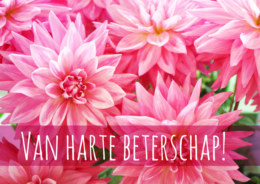 Beterschap vrolijke bloemenkaart - Beterschapskaarten Beterschapskaarten - Beterschap vrolijke bloemenkaart