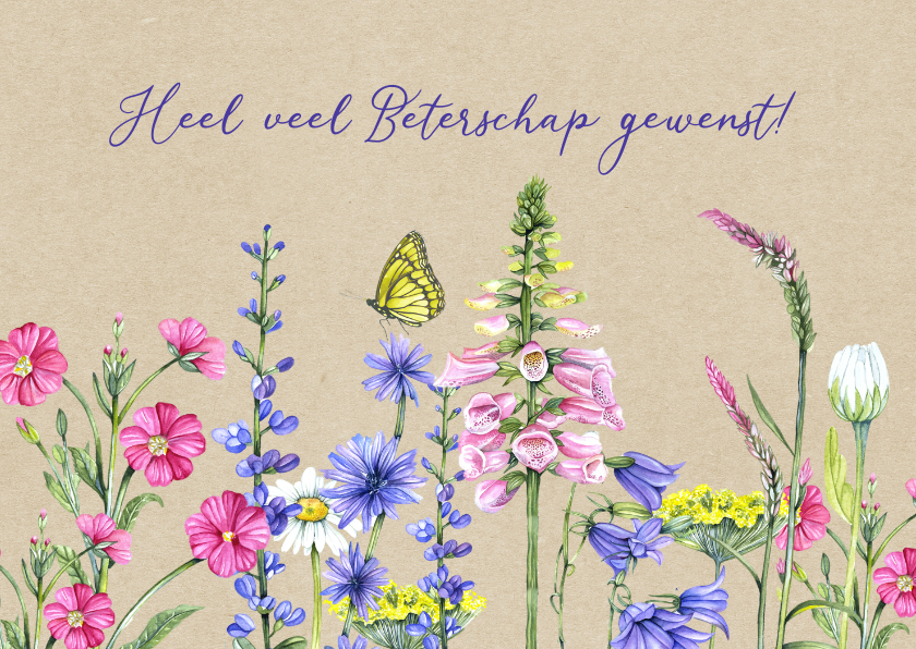 Beterschapskaarten - Beterschap wilde bloemen