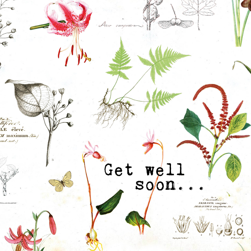 Beterschapkaart met botanische bloemenprint - Beterschapskaarten Beterschapskaarten - Beterschapkaart met botanische bloemenprint