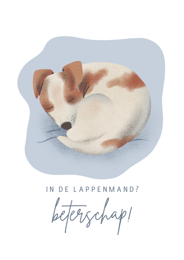Beterschapskaarten - Beterschaps kaart met slapend hondje