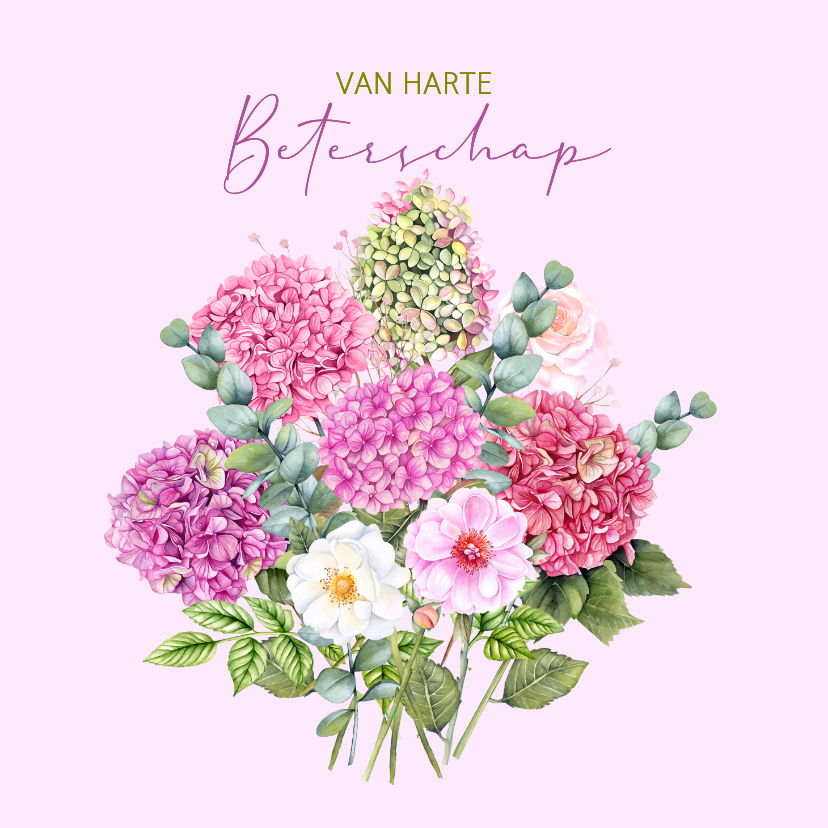 Beterschapskaarten - Beterschapskaart boeket hortensia 