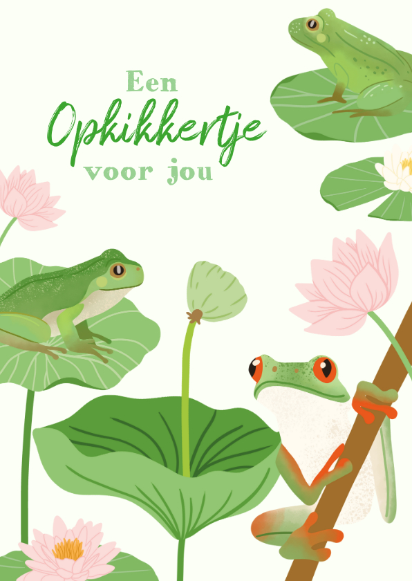 Beterschapskaarten - Beterschapskaart een opkikkertje voor jou