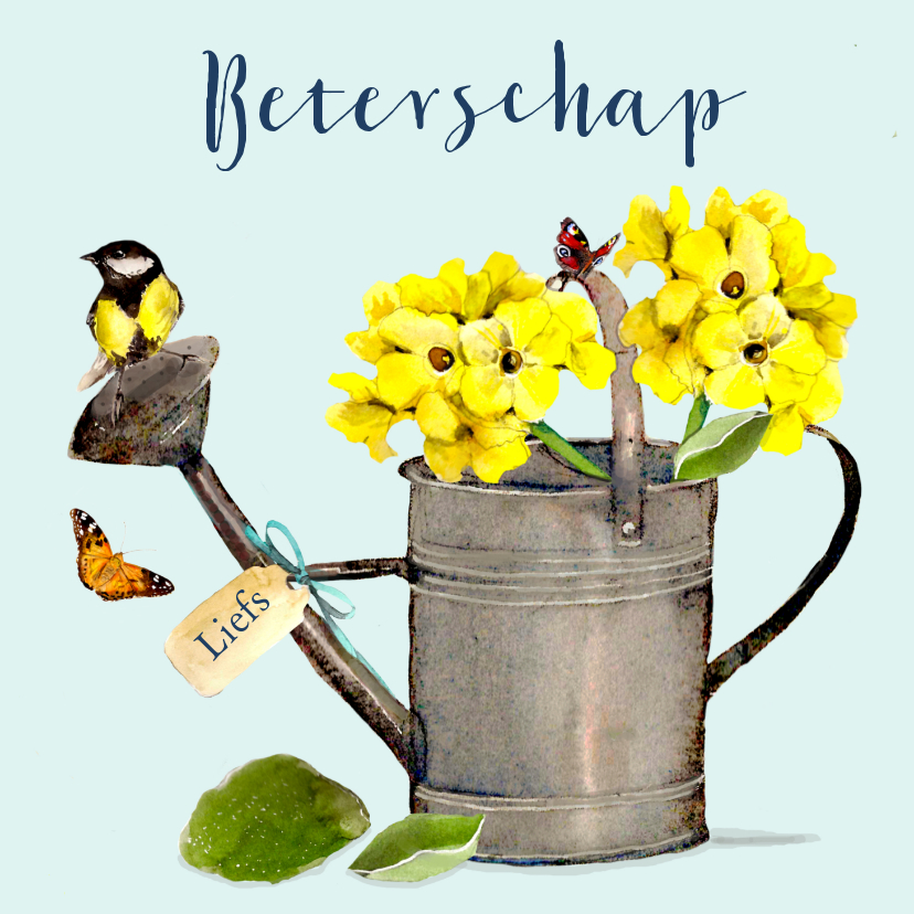 Beterschapskaart Gieter met geel vogeltje - Beterschapskaarten Beterschapskaarten - Beterschapskaart Gieter met geel vogeltje