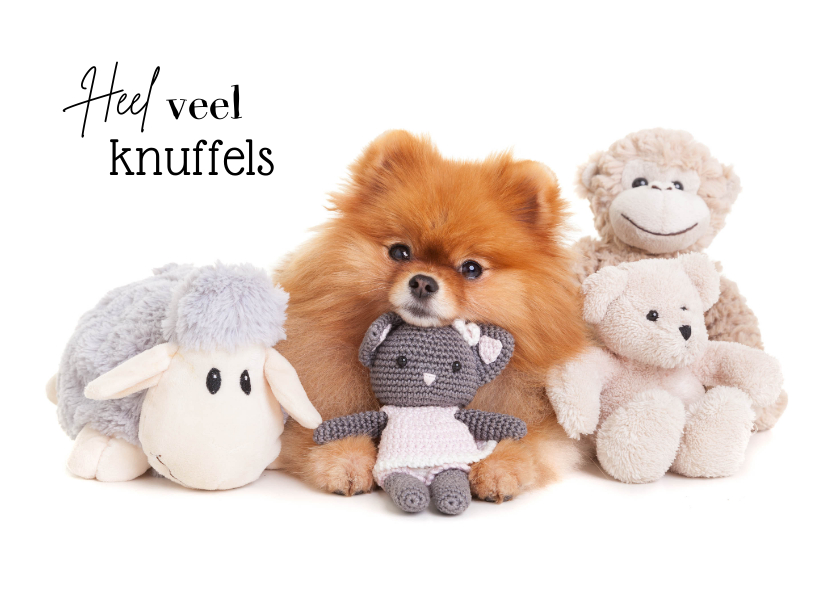 Beterschapskaarten - Beterschapskaart - Heel veel knuffels - hond met knuffels