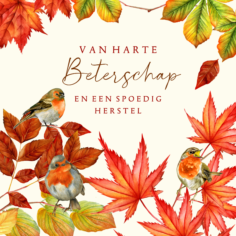 Beterschapskaarten - Beterschapskaart herfst roodborstjes