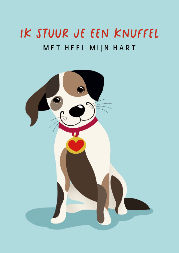 Beterschapskaart - Hond met hartje op zijn halsband - Beterschapskaarten Beterschapskaarten - Beterschapskaart - Hond met hartje op zijn halsband