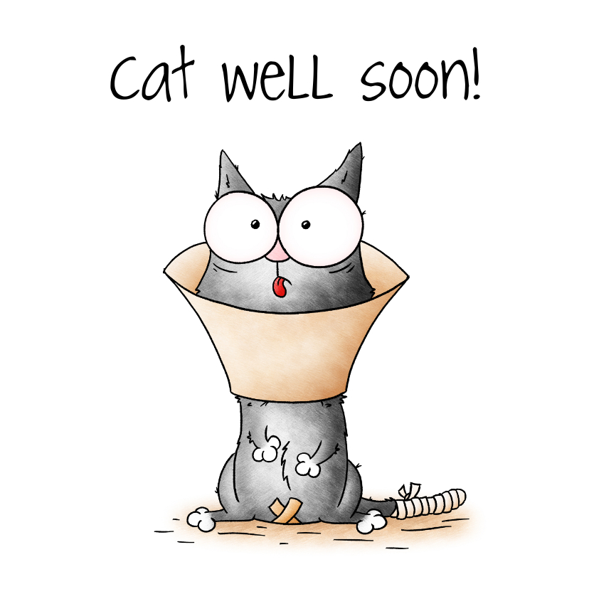 Beterschapskaarten - Beterschapskaart kat - Cat well soon!