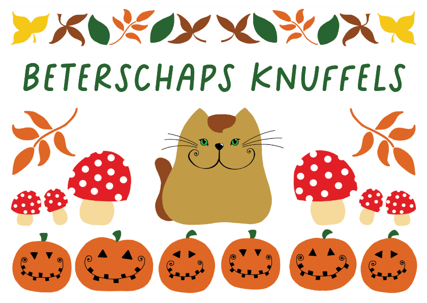 Beterschapskaarten - Beterschapskaart - Kat herfst