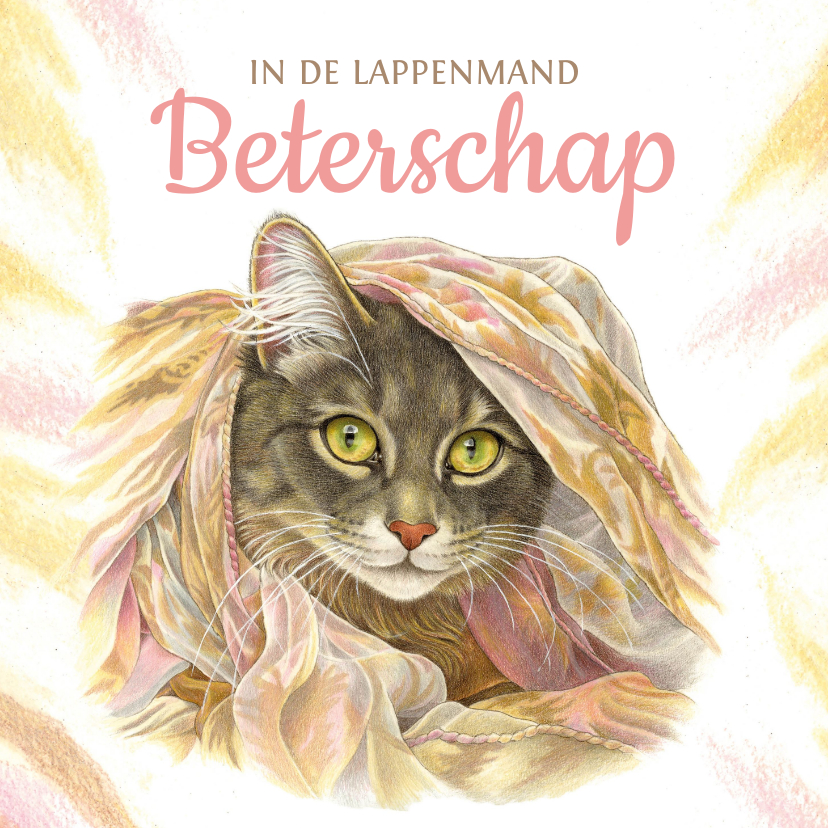 Beterschapskaarten - Beterschapskaart kat in de lappenmand