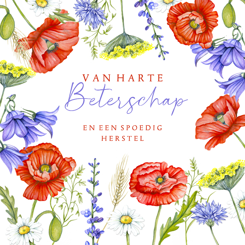 Beterschapskaarten - Beterschapskaart klaprozen veldbloemen