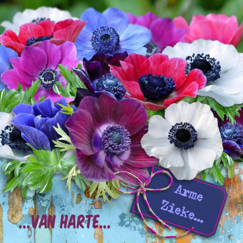 Beterschapskaart met anemonen op steigerhout - Beterschapskaarten Beterschapskaarten - Beterschapskaart met anemonen op steigerhout
