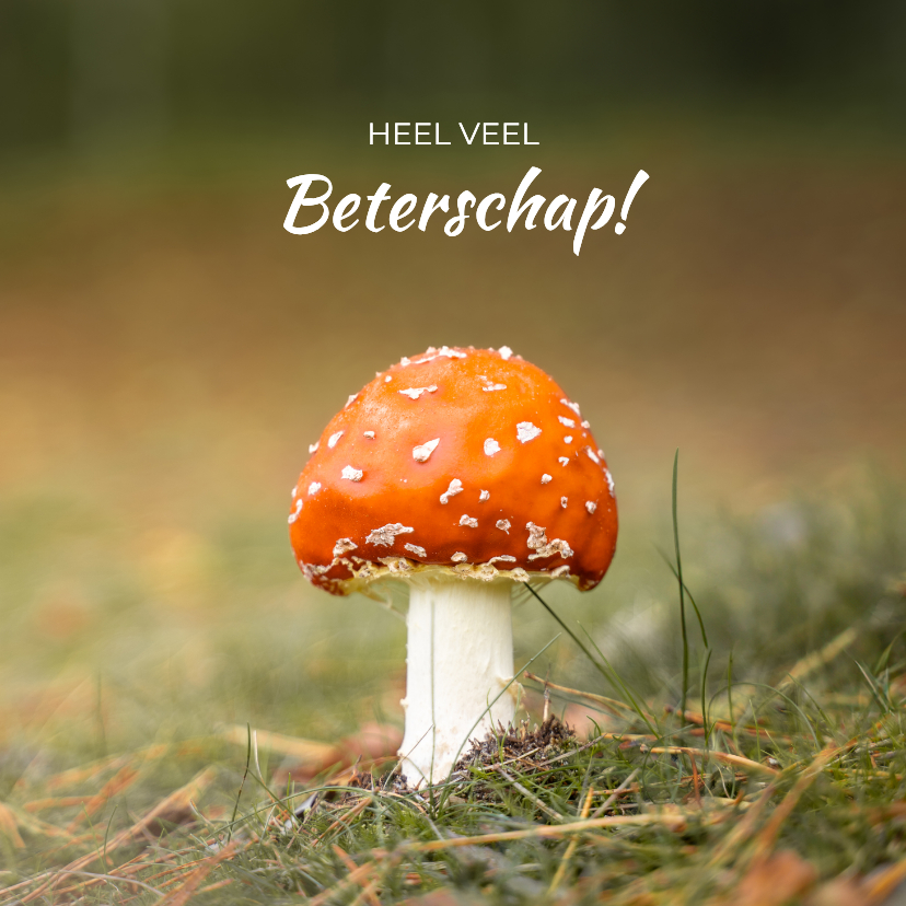 Beterschapskaarten - Beterschapskaart met een klein rood paddenstoeltje