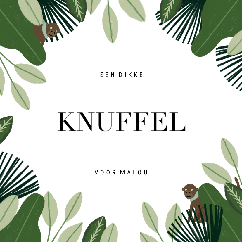 Beterschapskaart met jungle, aapje en dikke knuffel - Beterschapskaarten Beterschapskaarten - Beterschapskaart met jungle, aapje en dikke knuffel