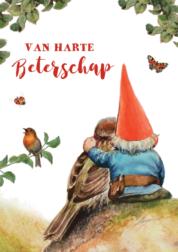 Beterschapskaarten - Beterschapskaart met kabouter en vogel