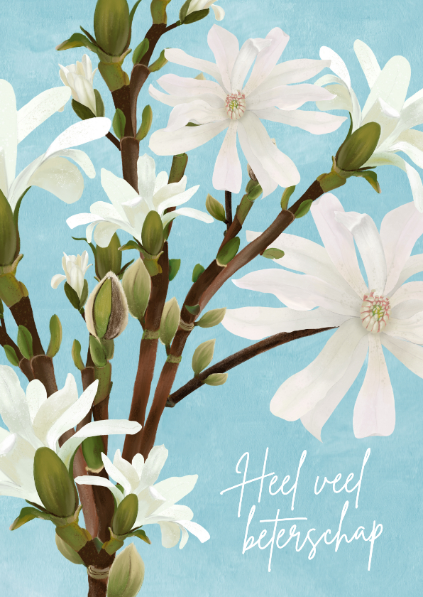 Beterschapskaarten - Beterschapskaart met magnolia bloemen