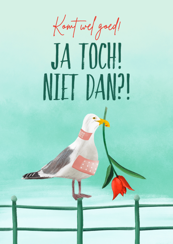 Beterschapskaart met Rotterdamse uitdrukking - Beterschapskaarten Beterschapskaarten - Beterschapskaart met Rotterdamse uitdrukking