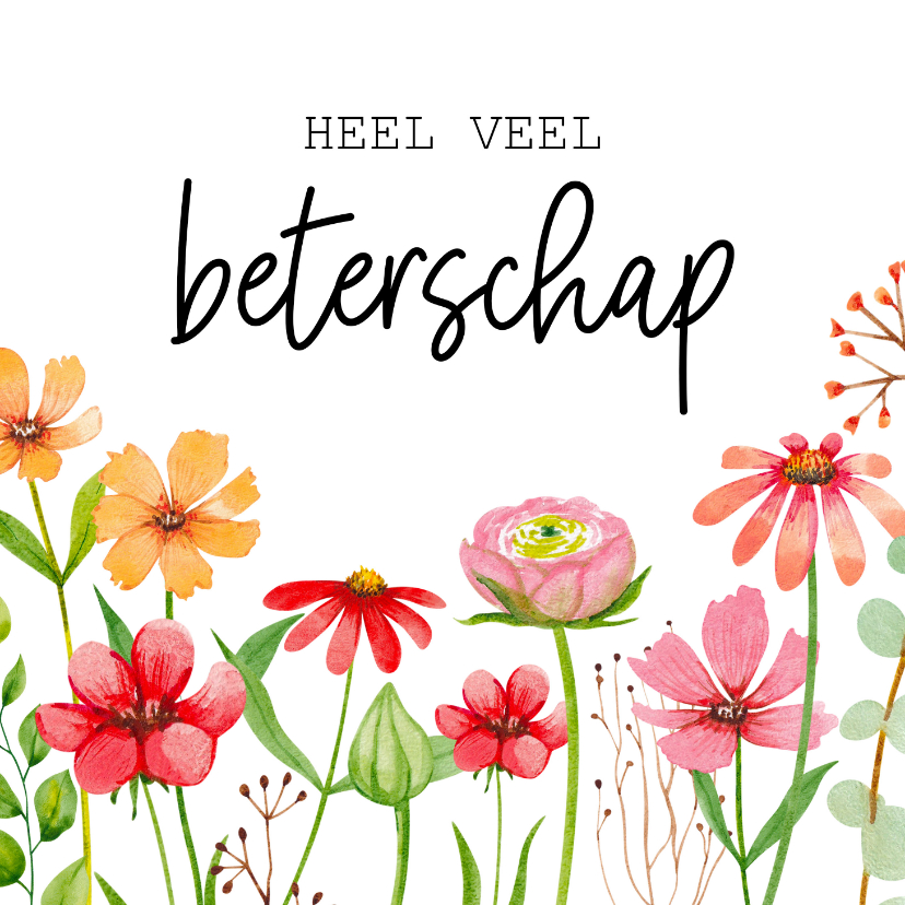 Beterschapskaarten - Beterschapskaart met verschillende kleurrijke bloemen