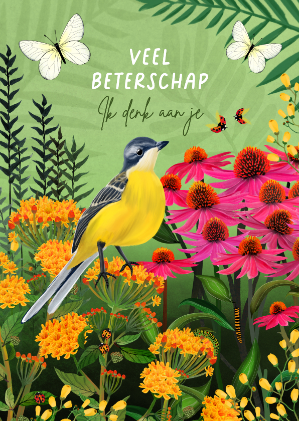 Beterschapskaarten - Beterschapskaart met vogel en vlinders
