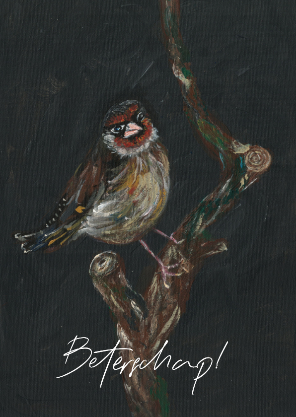 Beterschapskaarten - Beterschapskaart met vogel