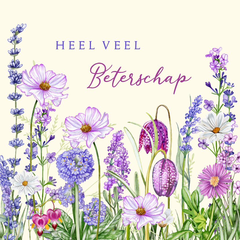 Beterschapskaarten - Beterschapskaart paarse bloemen in de tuin
