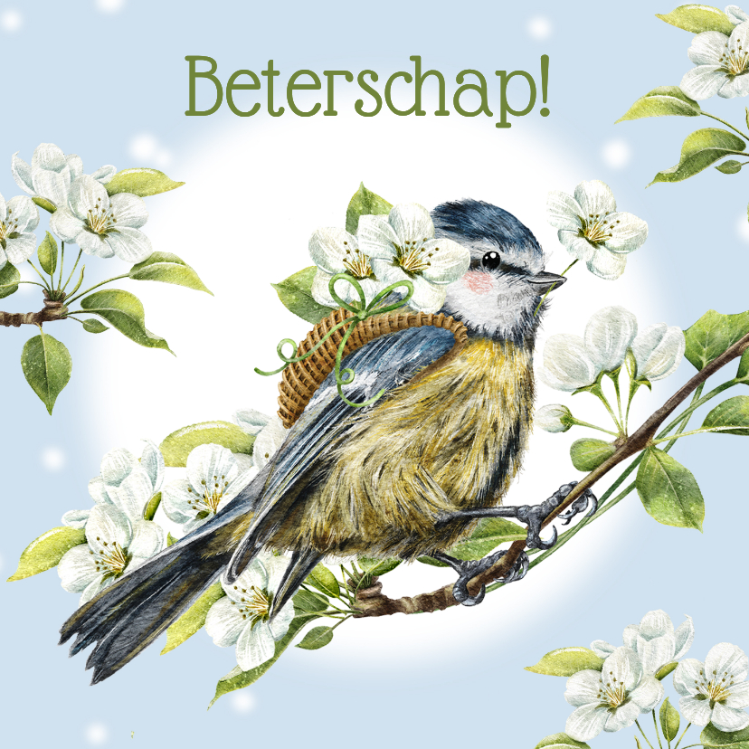 Beterschapskaarten - Beterschapskaart pimpelmees vogeltje met bloesem bloemen
