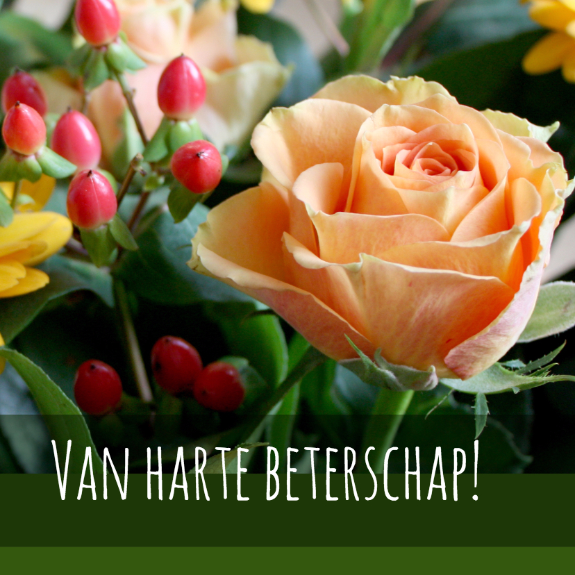 Beterschapskaart - roosje - Beterschapskaarten Beterschapskaarten - Beterschapskaart - roosje