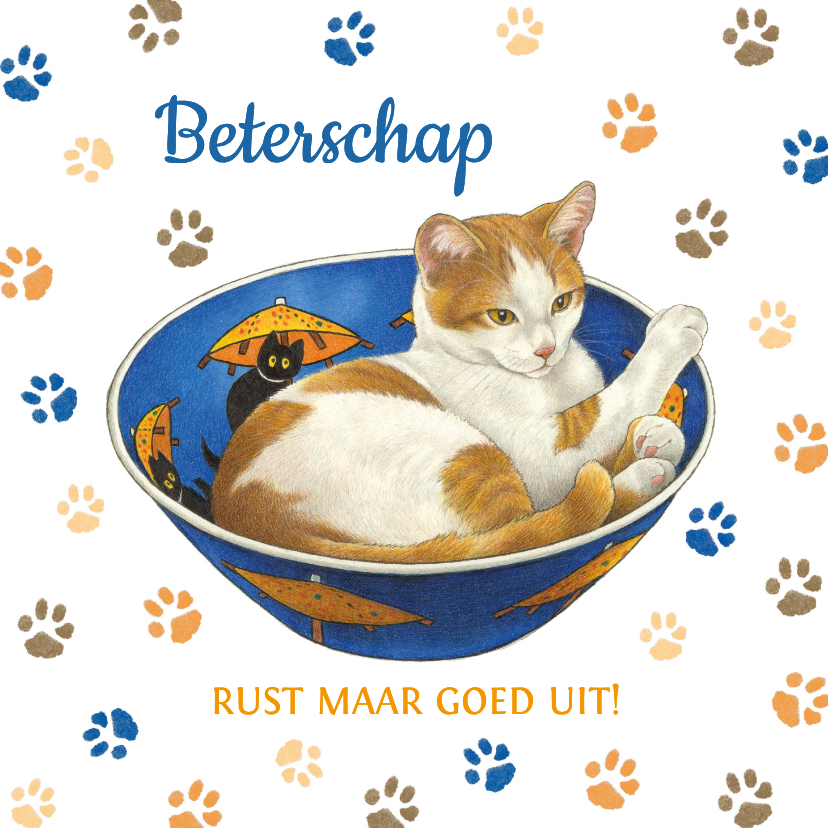 Beterschapskaart rustende kat - Beterschapskaarten Beterschapskaarten - Beterschapskaart rustende kat