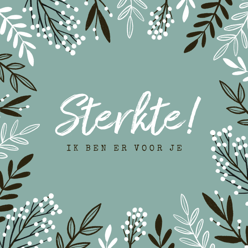 Beterschapskaarten - Beterschapskaart sterkte bloemen takjes ik ben er voor je