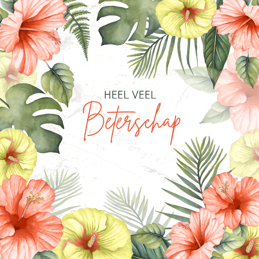 Beterschapskaarten - Beterschapskaart tropische bloemen