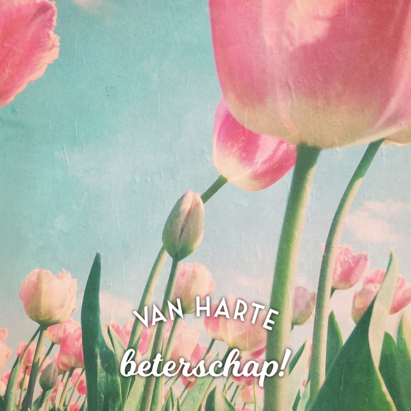 beterschapskaart tulpen - LB - Beterschapskaarten Beterschapskaarten - beterschapskaart tulpen - LB