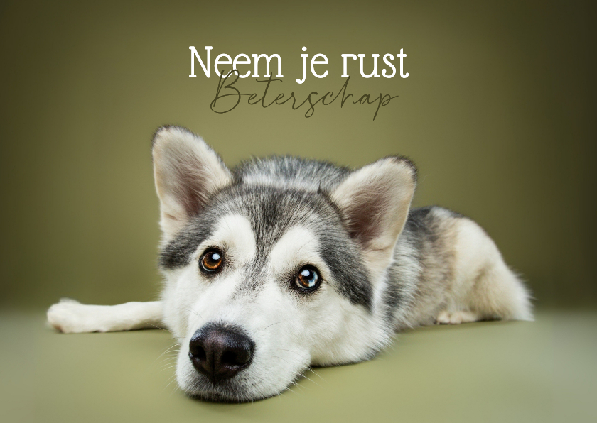 Beterschapskaarten - Beterschapskaart van liggend hondje met koppie op grond