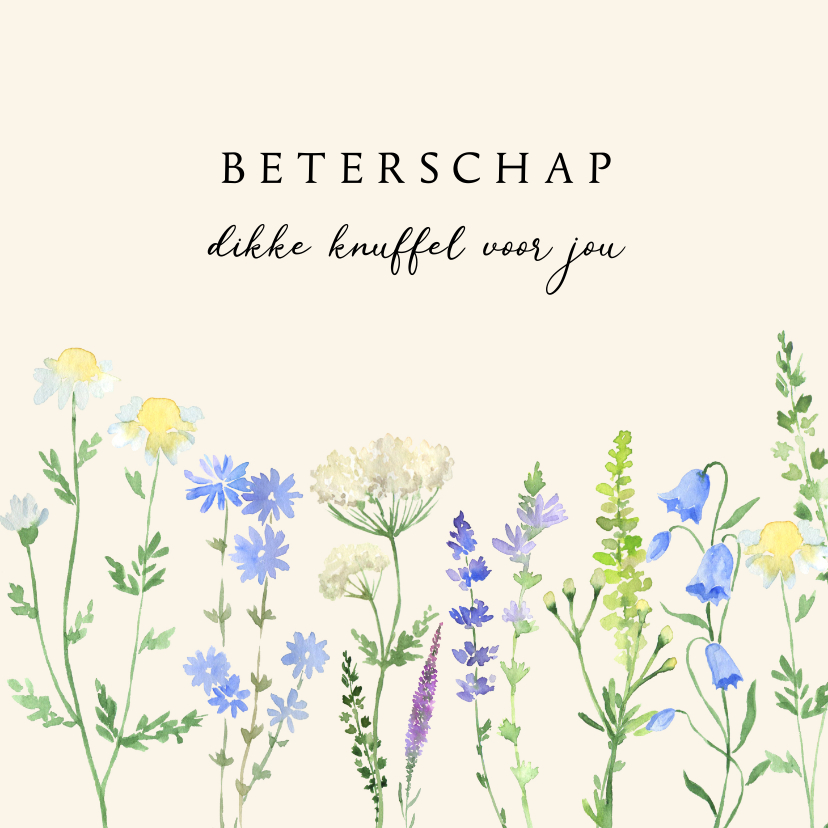 Beterschapskaarten - Beterschapskaart veldbloemen