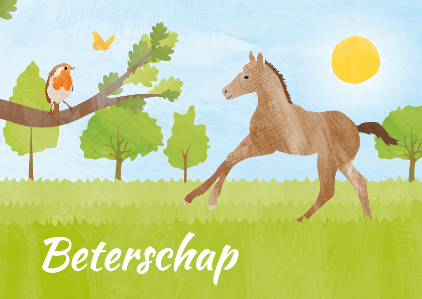 Beterschapskaarten - Beterschapskaart veulen en vogel