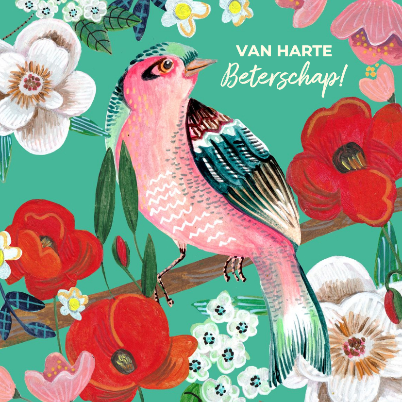 Beterschapskaart vogel met bloemen kleurrijk - Beterschapskaarten Beterschapskaarten - Beterschapskaart vogel met bloemen kleurrijk