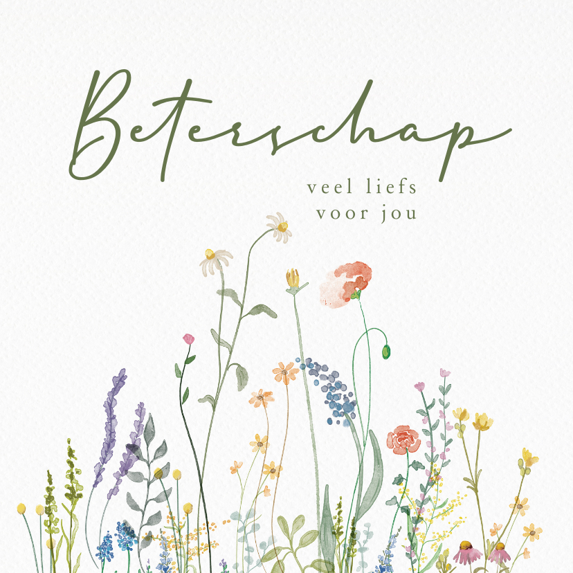 Beterschapskaarten - Beterschapskaart wilde bloemen beterschap