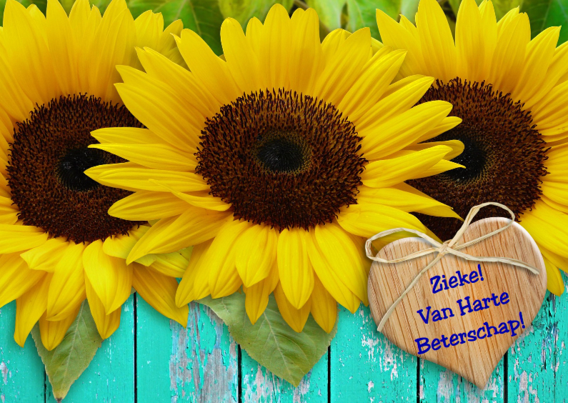 Beterschapskaart Zonnebloem met hart en wens - Beterschapskaarten Beterschapskaarten - Beterschapskaart Zonnebloem met hart en wens