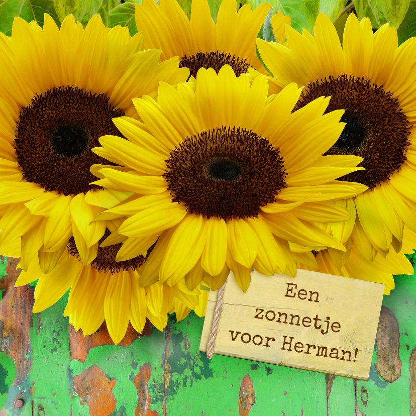 Beterschapskaart Zonnebloemen met hout en beterschap - Beterschapskaarten Beterschapskaarten - Beterschapskaart Zonnebloemen met hout en beterschap