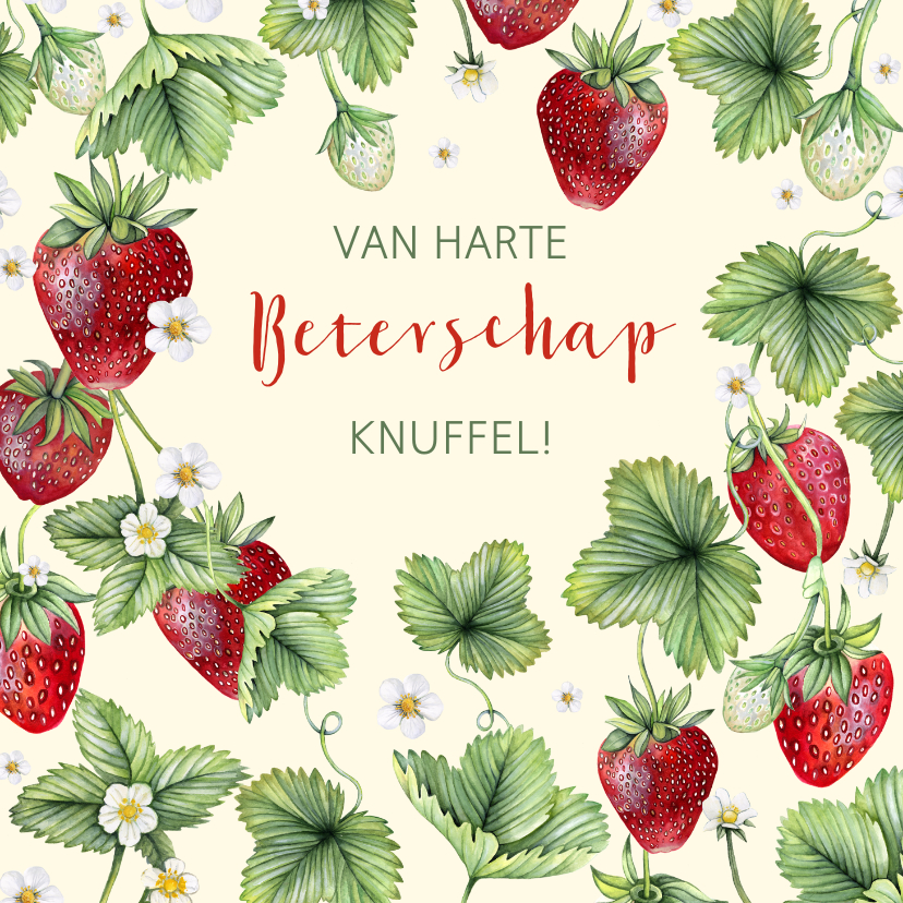 Beterschapskaartje met aardbeienplantjes - Beterschapskaarten Beterschapskaarten - Beterschapskaartje met aardbeienplantjes
