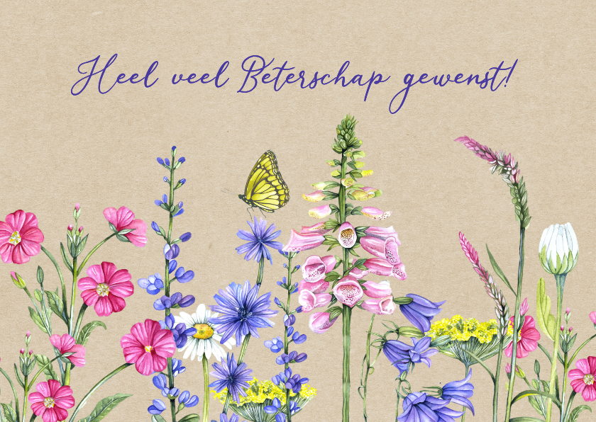 Beterschapskaarten - Beterschapskaartwilde bloemen