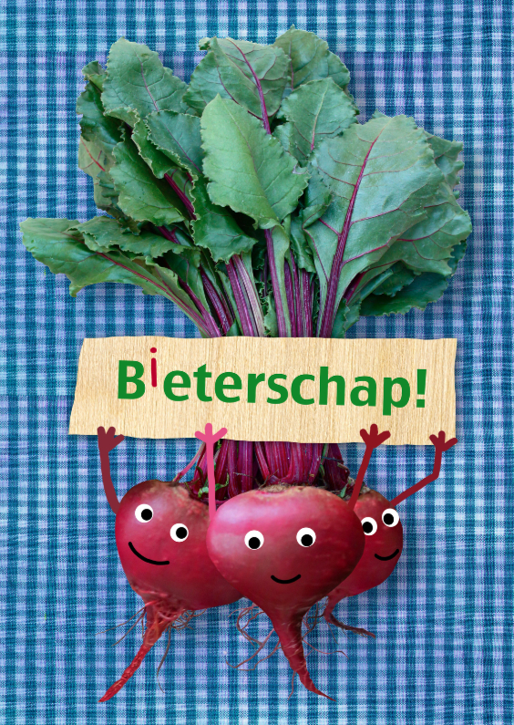 Bieterschap! - Beterschapskaarten Beterschapskaarten - Bieterschap!