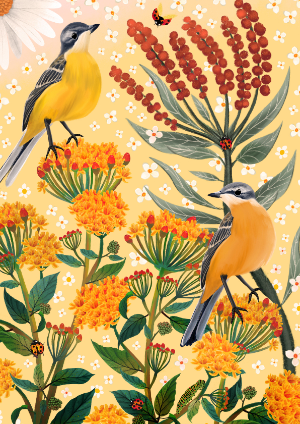 Beterschapskaarten - Een zonnige beterschapskaart met vogels en bloemen