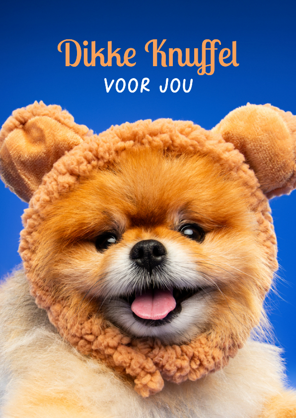 Beterschapskaarten - Grappige beterschapskaart dikke knuffel van klein hondje 