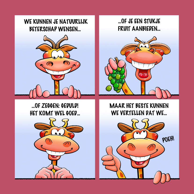 Beterschapskaarten - Grappige beterschapskaart met leuke dieren als stripverhaal