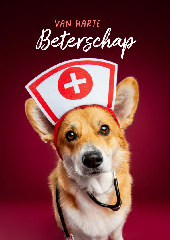 Beterschapskaarten - Grappige beterschapskaart van corgi met zuster outfit.