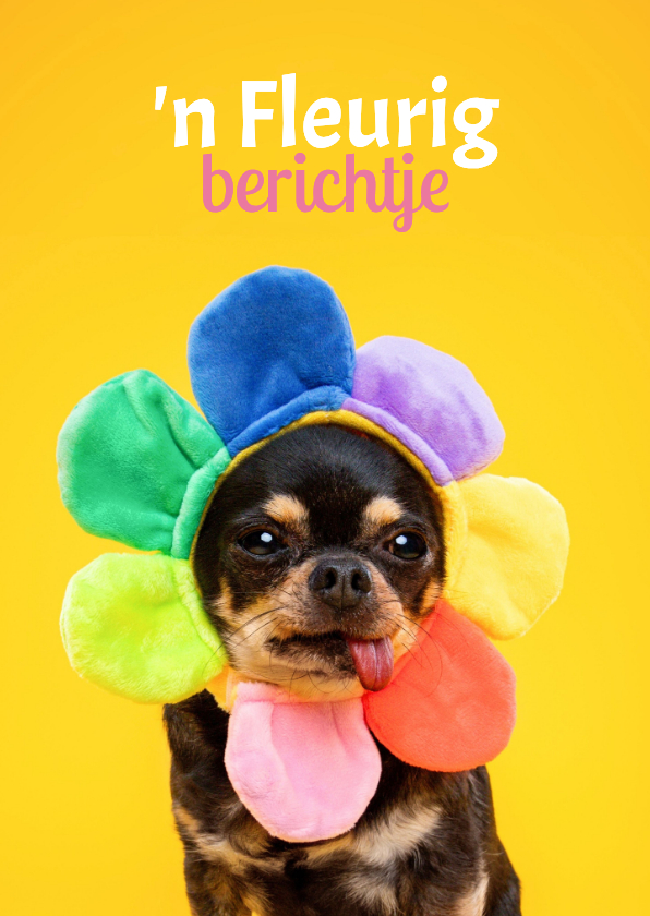 Beterschapskaarten - Grappige beterschapskaart van hondje bloemenmuts