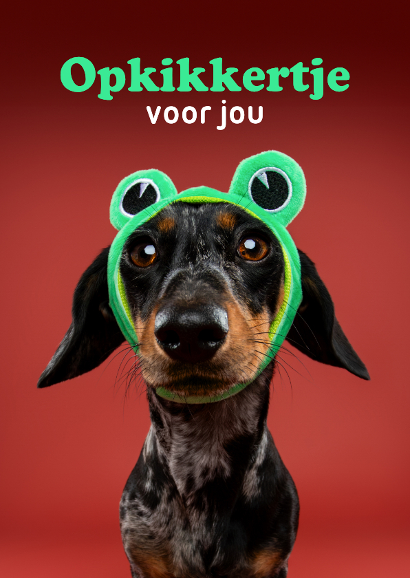Beterschapskaarten - Grappige beterschapskaart van teckel met kikkermutsje