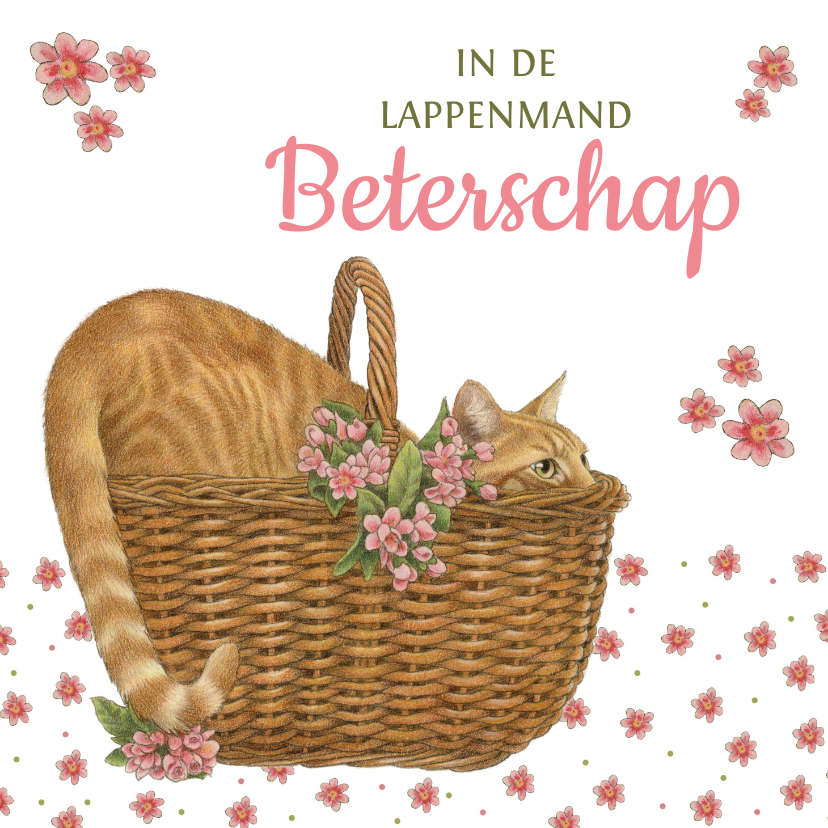 Beterschapskaarten - In de lappenmand beterschap