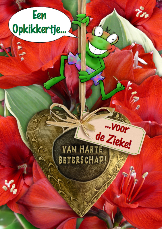 Leuke beterschapskaart Amaryllissen met koperkleurig hart - Beterschapskaarten Beterschapskaarten - Leuke beterschapskaart Amaryllissen met koperkleurig hart