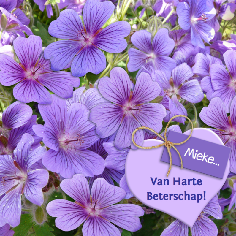 Mooie beterschapskaart bloemen, hart met kaartje purper - Beterschapskaarten Beterschapskaarten - Mooie beterschapskaart bloemen, hart met kaartje purper